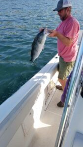 Catching sea bass on cuttyhunk island